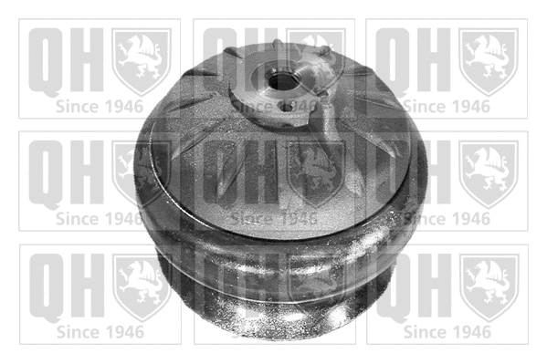 Mounting, engine (EM3411)