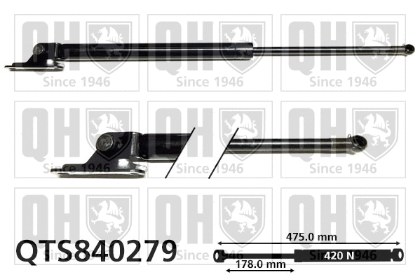 Gas Spring, boot/cargo area (QTS840279)