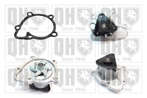 Water Pump, engine cooling (QCP3831)