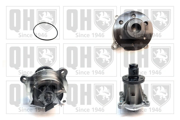 Water Pump, engine cooling (QCP3899)