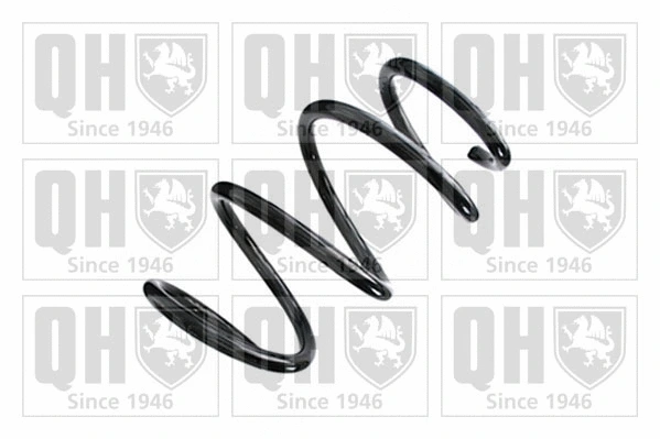Suspension Spring (QCS8741)