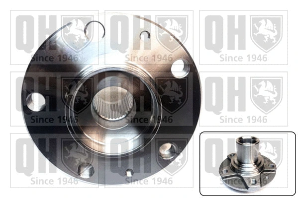 Wheel Hub (QWH192)