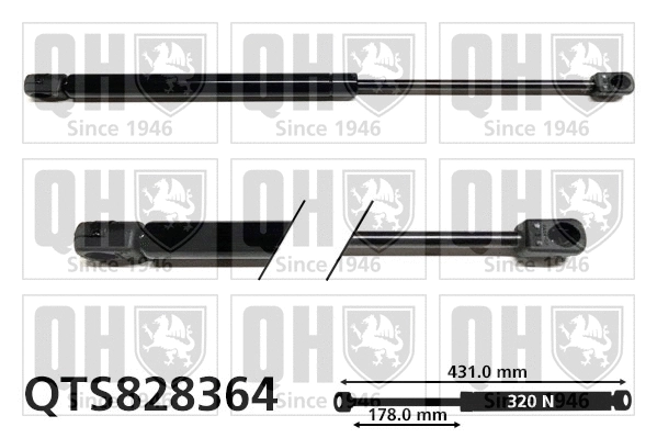 Gas Spring, bonnet (QTS828364)