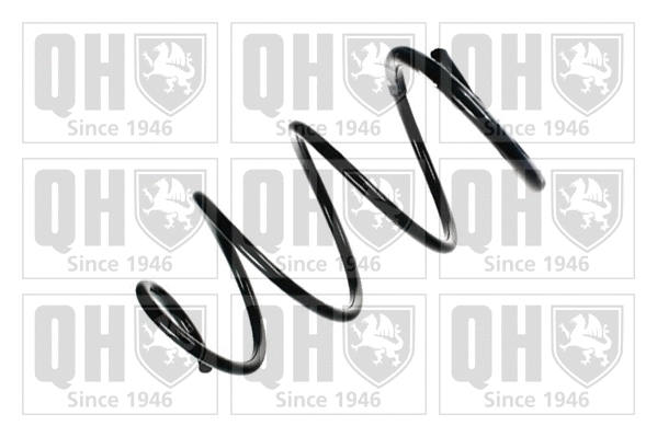 Suspension Spring (QCS7312)