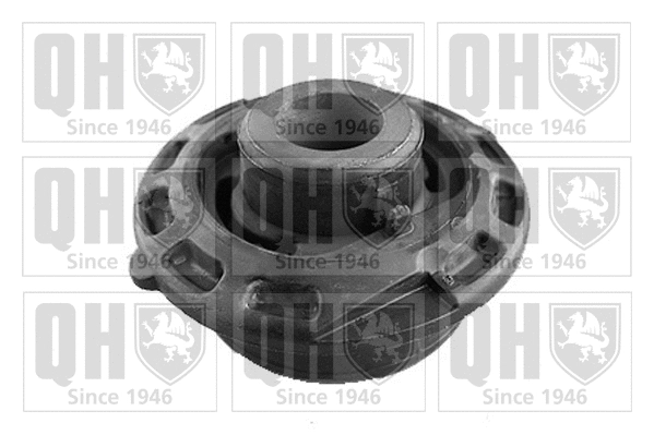 Mounting, control/trailing arm (EMS8219)