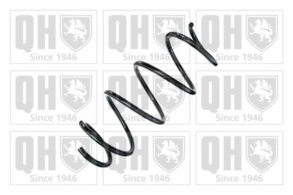 Suspension Spring (QCS8704)