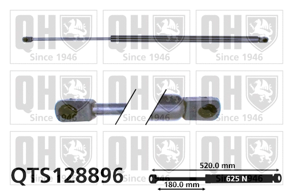 Gas Spring, boot/cargo area (QTS128896)