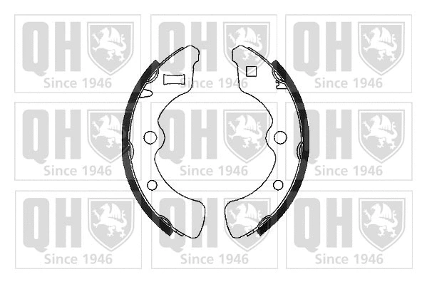 Brake Shoe Set (BS600)