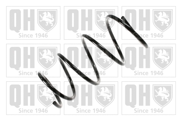 Suspension Spring (QCS6653)