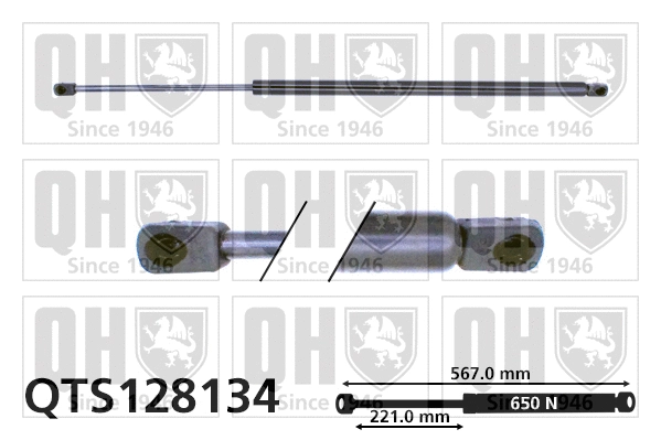Gas Spring, boot/cargo area (QTS128134)