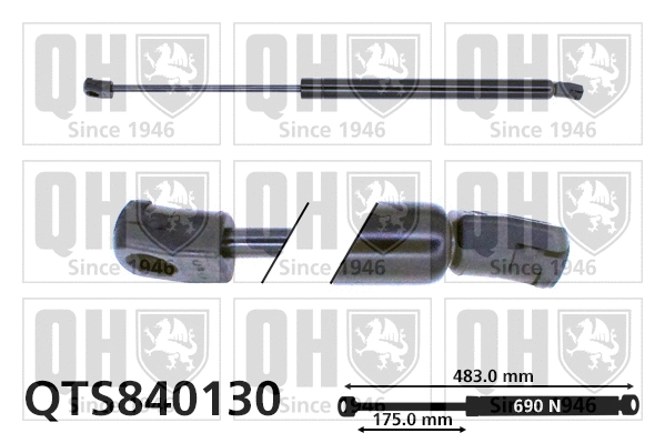 Gas Spring, boot/cargo area (QTS840130)
