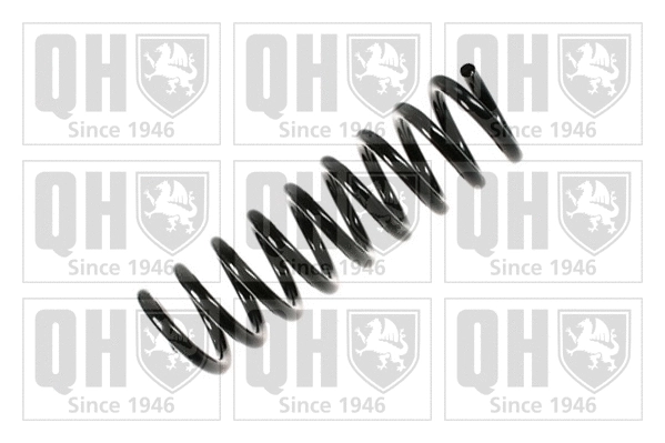 Suspension Spring (QCS6009)