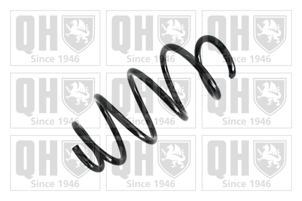 Suspension Spring (QCS5991)