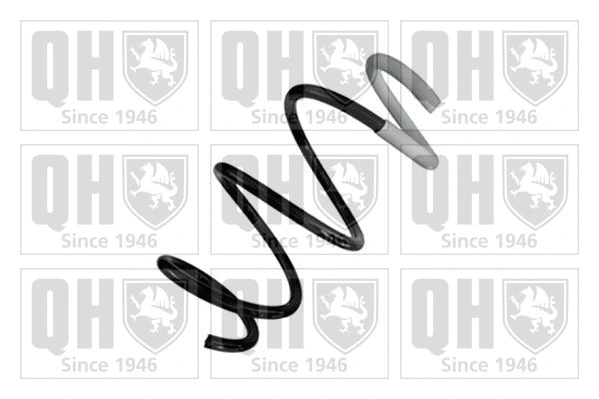 Suspension Spring (QCS8381)