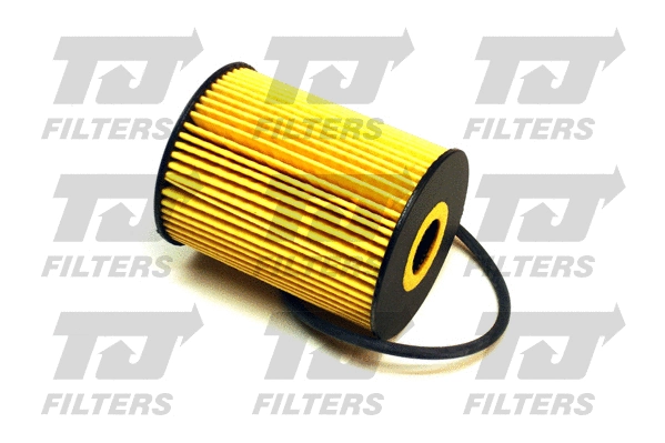 Oil Filter (QFL0092)
