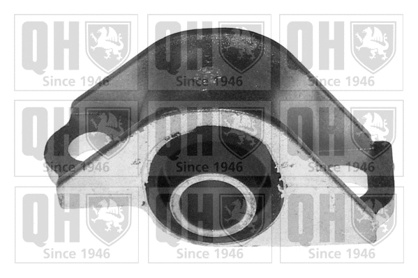 Mounting, control/trailing arm (EMS3075)