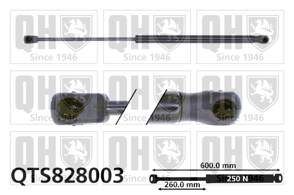 Gas Spring, bonnet (QTS828003)