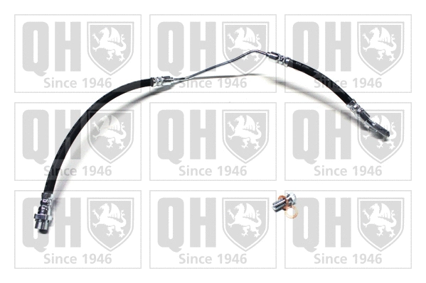 Brake Hose (BFH5699)