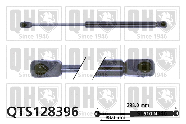 Gas Spring, boot/cargo area (QTS128396)