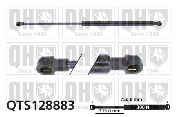 Gas Spring, bonnet (QTS128883)