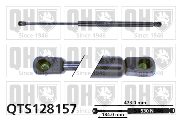 Gas Spring, boot/cargo area (QTS128157)