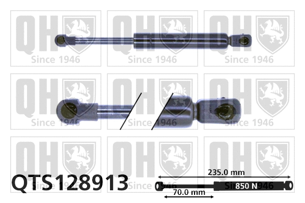 Gas Spring, bonnet (QTS128913)