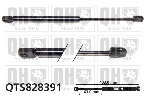 Gas Spring, boot/cargo area (QTS828391)
