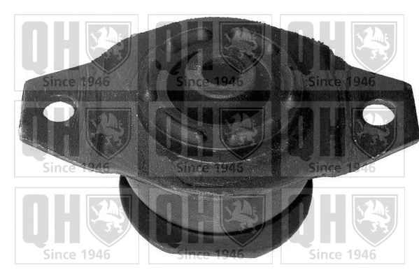 Mounting, engine (EM3100)