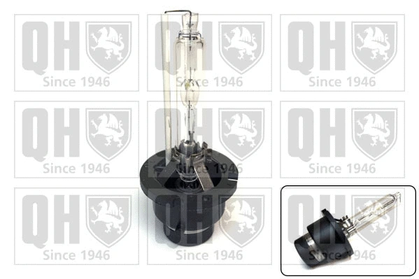Bulb, headlight (QBL502G)