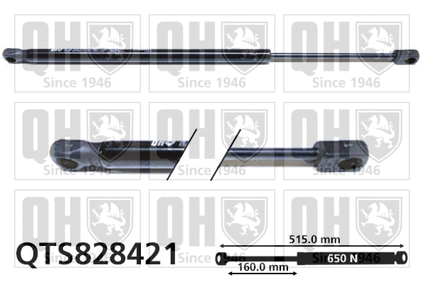 Gas Spring, boot/cargo area (QTS828421)