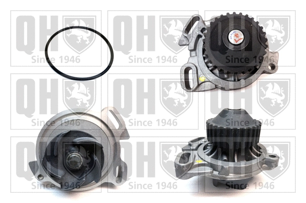 Water Pump, engine cooling (QCP2645)