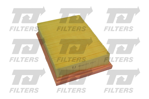 Air Filter (QFA0377)