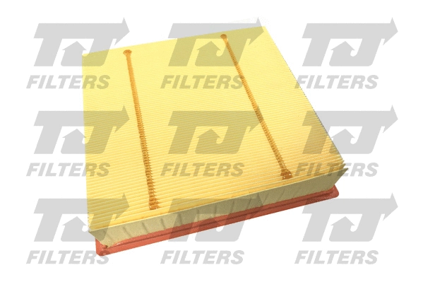 Air Filter (QFA0975)
