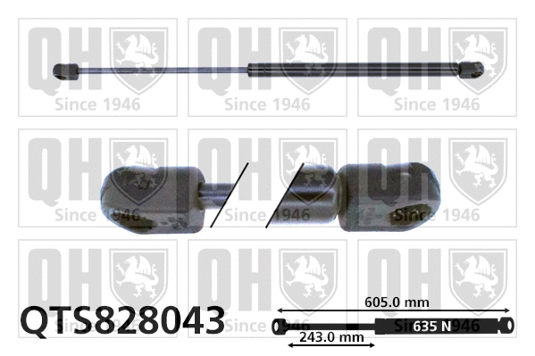 Gas Spring, boot/cargo area (QTS828043)