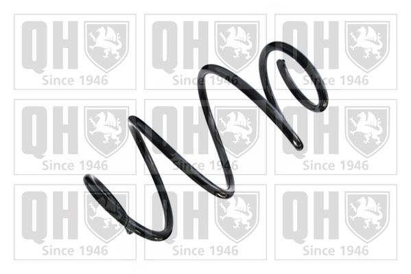 Suspension Spring (QCS8458)