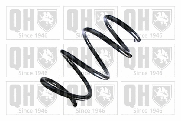 Suspension Spring (QCS8747)