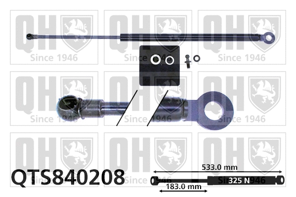 Gas Spring, boot/cargo area (QTS840208)