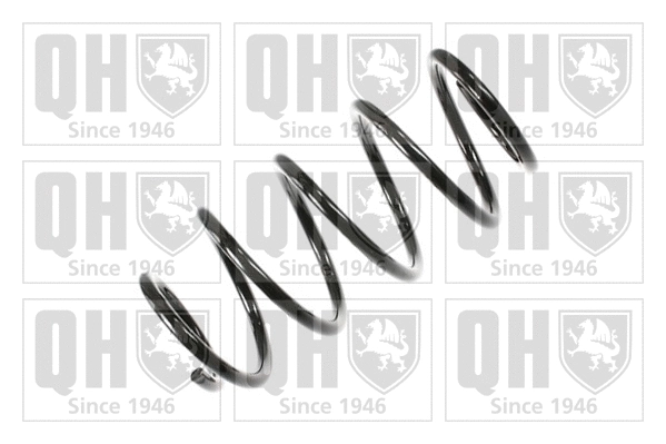 Suspension Spring (QCS7654)