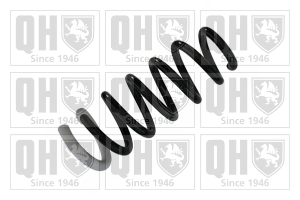 Suspension Spring (QCS8697)