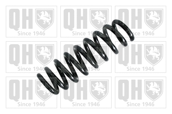 Suspension Spring (QCS5553)