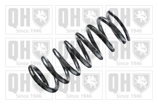 Suspension Spring (QCS7353)