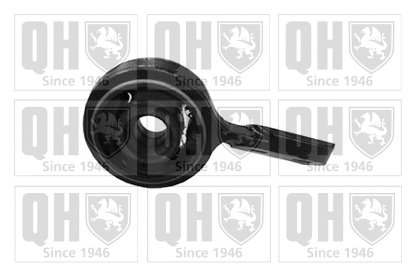 Mounting, control/trailing arm (EMS8313)