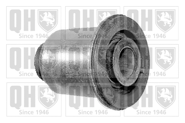 Mounting, control/trailing arm (EMS8299)