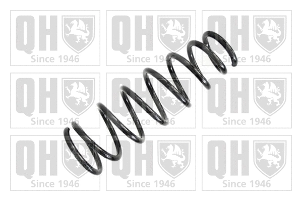 Suspension Spring (QCS5393)