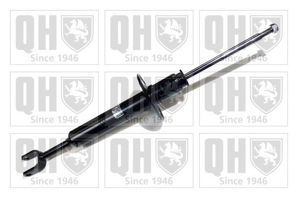Shock Absorber (QAG179804)