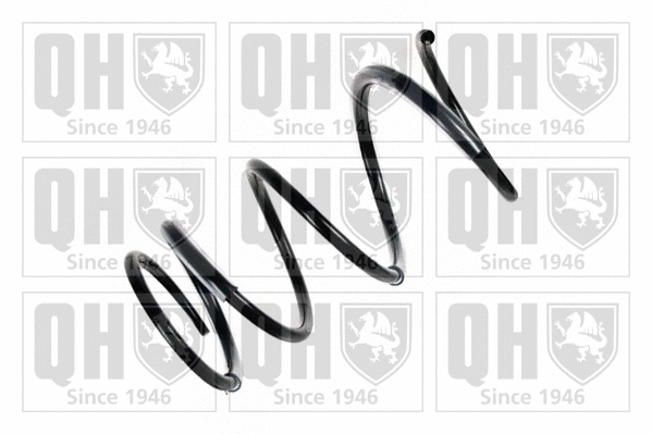 Suspension Spring (QCS6732)
