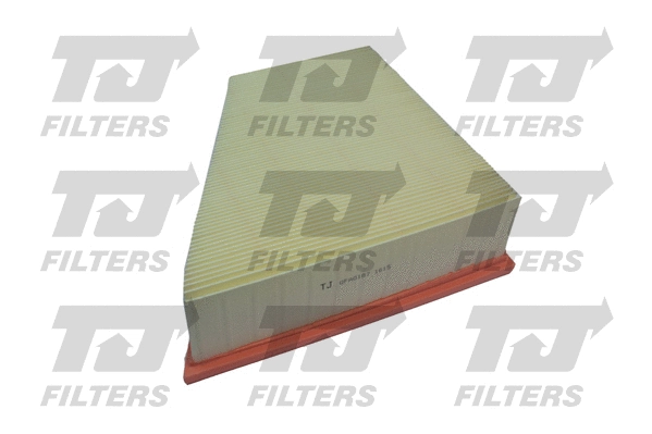 Air Filter (QFA0187)