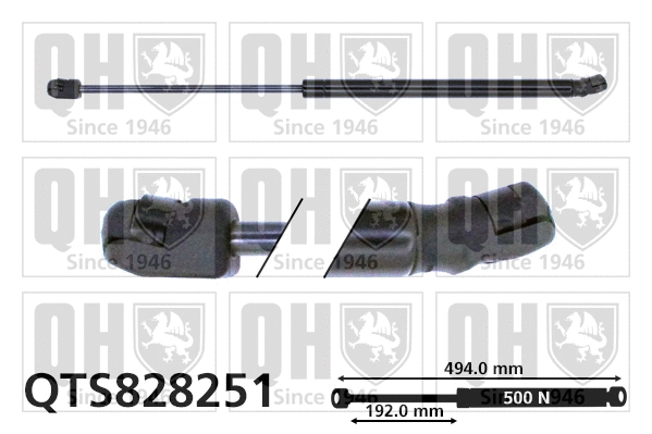 Gas Spring, boot/cargo area (QTS828251)