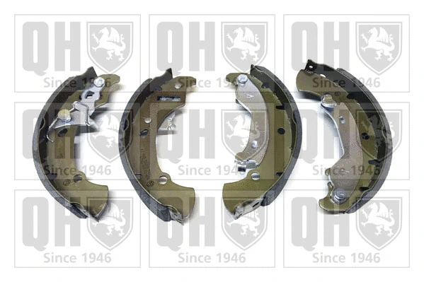 Brake Shoe Set (BS1101)