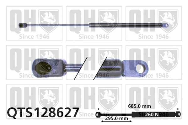 Gas Spring, bonnet (QTS128627)